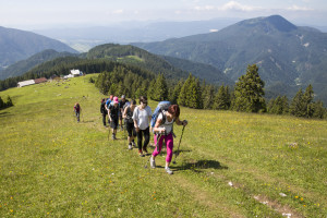 Naša četica koraka...